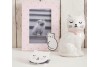 Miroir chat