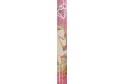 Crayon thème licorne