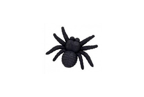 Gomme araignée