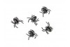 10 araignées noires