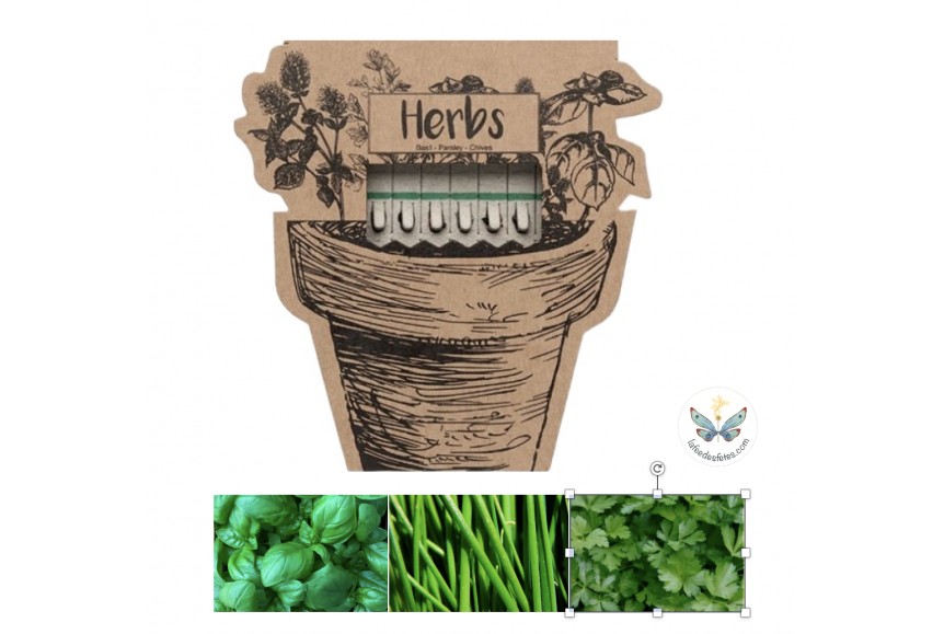 10 Bâtons de graines à planter - herbes aromatiques