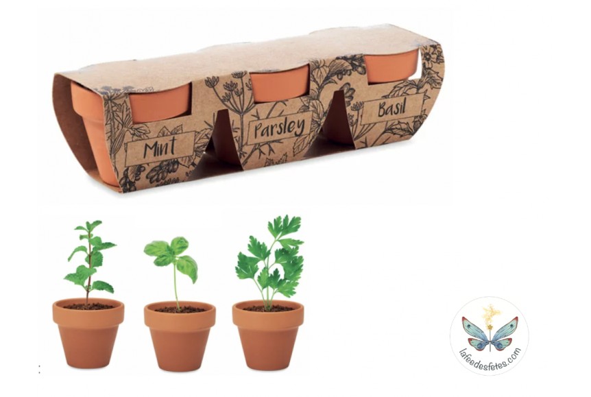 Kit à planter herbes aromatiques miniature - Activté enfants & fêtes