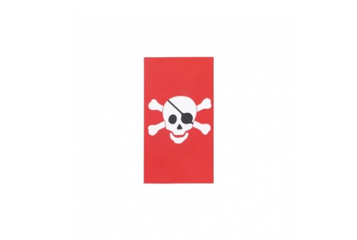 Mini carnet pirates