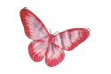 Ailes de papillon rouge & lilas
