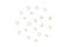 Confetti marguerite
