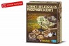 Kit Science des fossiles phosphorescents