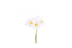 6 marguerites sur tige