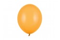 Ballon miel pastel - Set de 10 ballons