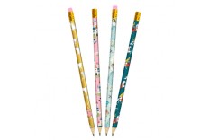 Crayon princeesse