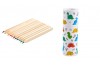 Etui 12 crayons de couleur dino