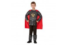 Costume de chevalier au dragon