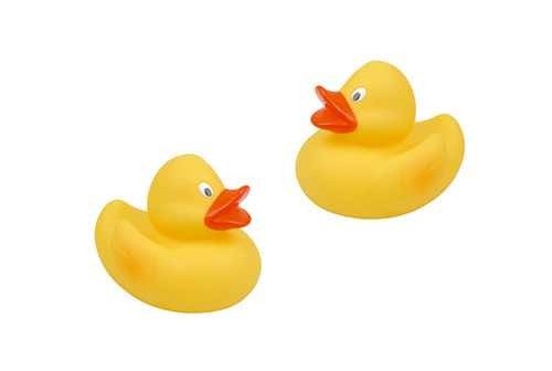 Canard de bain