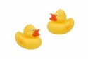 Canard de bain