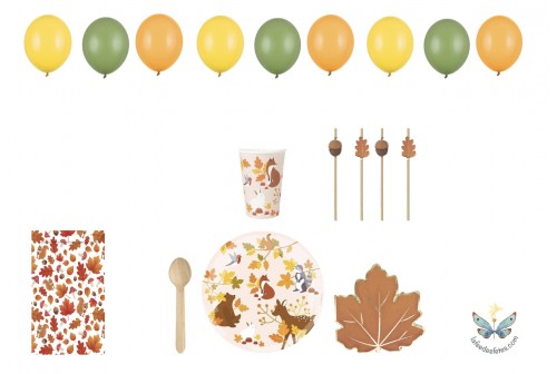 Kit anniversaire cirque