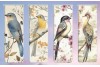 Marque page oiseaux