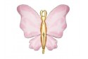 Ballon papillon
