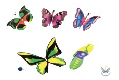 planeur papillon