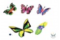 planeur papillon