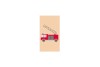 Mini carnet pompier