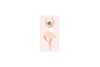 Mini carnet danseuse/ballerine