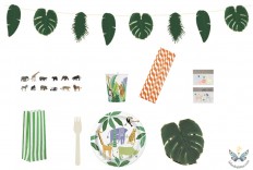 Kit Safari