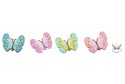Gomme papillon