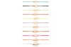 Bracelet coquillage