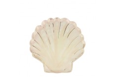 Assiettes coquillage aquarelle
