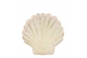 Assiettes coquillage aquarelle