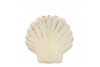 Assiettes coquillage aquarelle