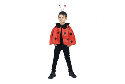Set cape coccinelle