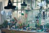 Assiettes potions magiques x 8
