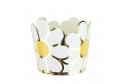 Petits pots marguerite x 8
