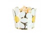 Petits pots marguerite x 8