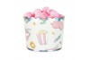 Petits pots marguerite x 8