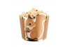 Petits pots woodland x 8