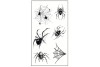 Tatouages araignée