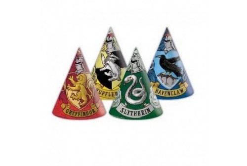 Chapeaux Harry Potter x 6