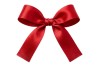 Ruban Rouge 25 mm