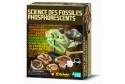 Kit Science des fossiles phosphorescents