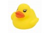 Canard de bain