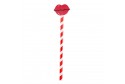 crayon avec gomme bouche