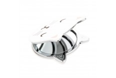 Miroir chat