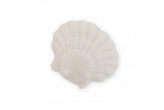 Savon coquille St Jacques