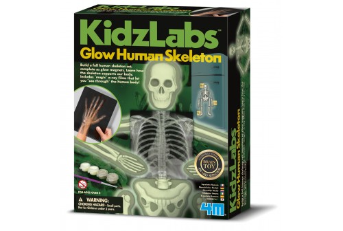 Kit Science du squelette humain