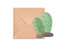 6 invitations Cactus