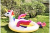 Piscinette Licorne multicolore