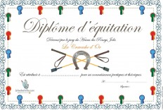 Diplôme Anniversaire 20 ans Réf: 33805