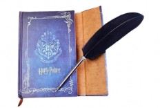 Stylo à bille plume noire