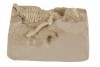 Mini kit de fouille archéologique T-Rex